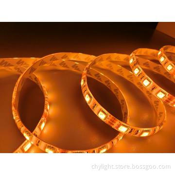 Waterproof DC12V 5050 SMD LED Strip Lights